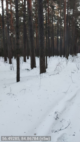 56.49285, 84.86784 (±5м) 24022026 090654.jpg