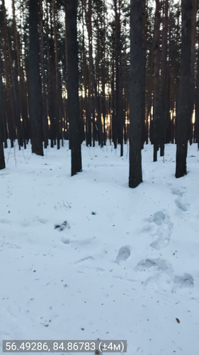 56.49286, 84.86783 (±4м) 24022026 090706.jpg