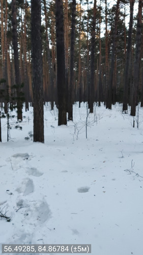 56.49285, 84.86784 (±5м) 24022026 090651.jpg