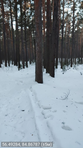 56.49284, 84.86787 (±5м) 24022026 090640.jpg