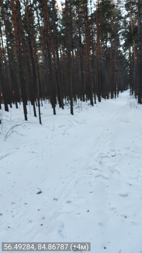 56.49284, 84.86787 (±4м) 24022026 090634.jpg