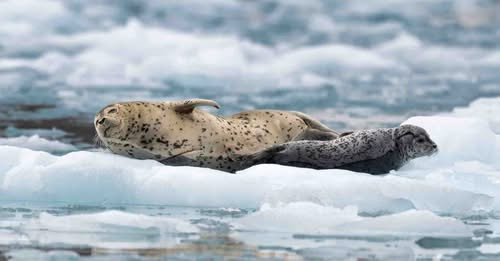 9448908454912895732?url=https%3A%2F%2Fwww.startlap.hu%2Fuploads%2F2026%2F02%2Fpost 22230606.jpg&fb o.jpg