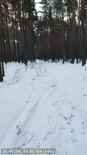 56.49286, 84.86784 (±4м) 24022026 090658.jpg