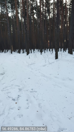 56.49286, 84.86783 (±4м) 24022026 090703.jpg