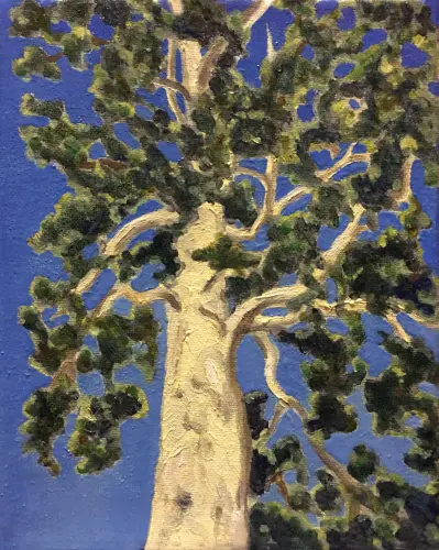 23 AnastasiaO'Melveny The White Tree nd.webp