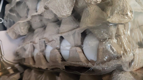 WhatsApp Image 2026 02 24 at 9.03.49 AM.jpg