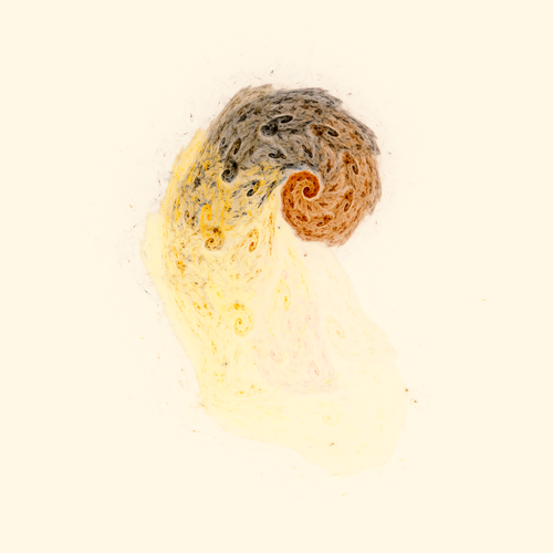 Collateral Branches.png