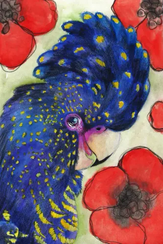 1 AmandaBolduc Cockatoo nd.webp