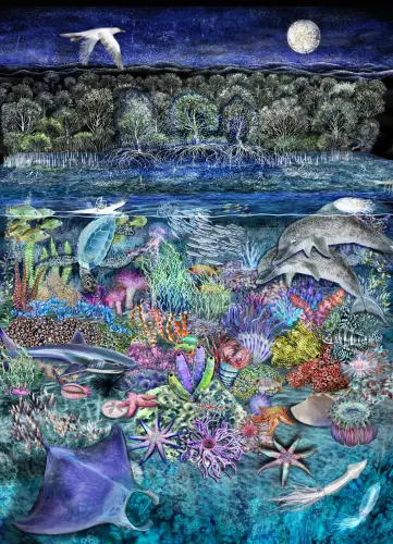 145 ErikaSchwarz Mangrove Reef unwasted 2019.webp