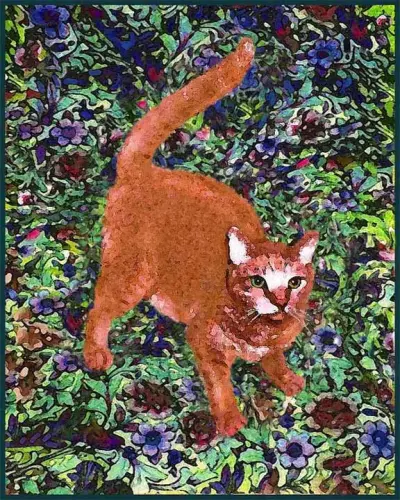 15 AnastasiaO'Melveny Marmalade nd.webp