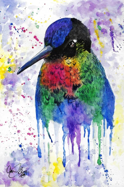 4 AmandaBolduc Hummingbird nd.webp