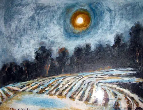 241 KimTucker snow+fields nd.webp