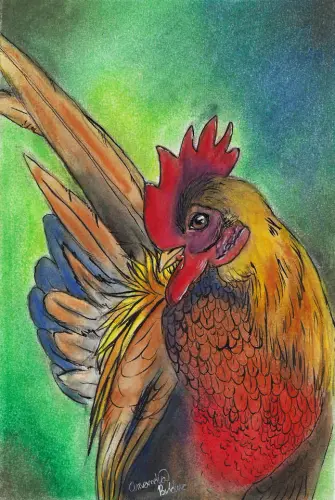 5 AmandaBolduc Orange Rooster nd.webp