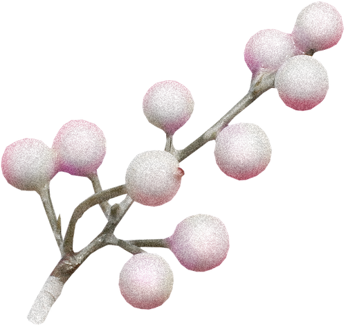 Spring Shake (133).png