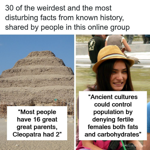 history facts (2).jpg