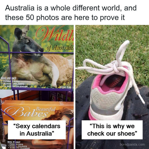 australia.jpg