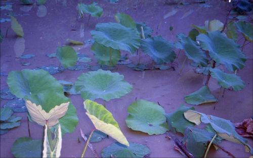 Scherm afbeelding 2024 04 19 om 13 28 14