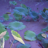 Scherm afbeelding 2024 04 19 om 13 28 14