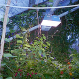 Scherm afbeelding 2024 04 19 om 13 27 52