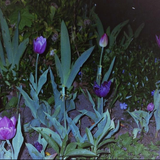 Scherm afbeelding 2024 04 19 om 13 29 21