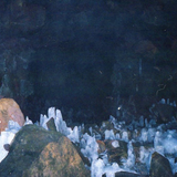 Scherm afbeelding 2024 04 19 om 13 28 04