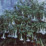 Scherm afbeelding 2024 04 19 om 13 29 03