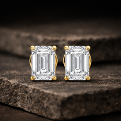 009c6ca9 6c37 4eb9 bc4d 964425edf25c.png