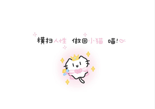 IMG 20260224 185549.jpg