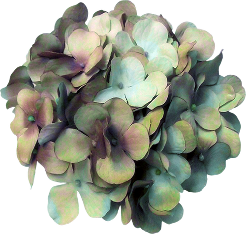 Sylvan Whisper (113).png