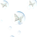 Sylvan Whisper (118)