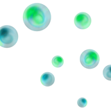 Sylvan Whisper (126)