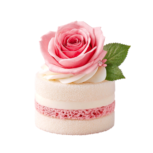 Spring Shake (57).png