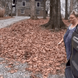 chelcie lynn trailer trash tammy.gif