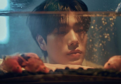  2026 02 24T195314.549.jpg