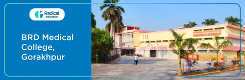 Baba Raghav Das Medical College.png