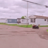 trailer park boys trailer.gif