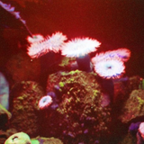 Scherm afbeelding 2024 04 19 om 13 27 06