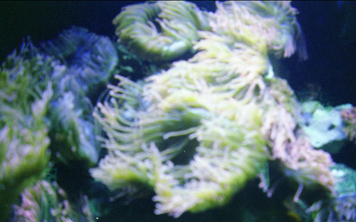 Scherm afbeelding 2024 04 19 om 13 26 18