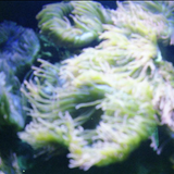 Scherm afbeelding 2024 04 19 om 13 26 18