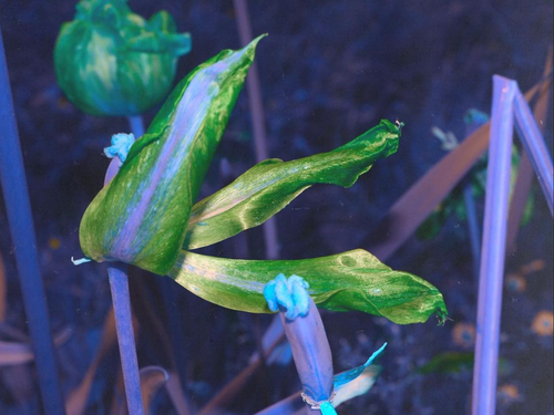 Scherm afbeelding 2024 04 19 om 13 25 56