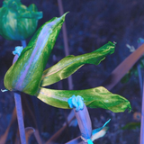 Scherm afbeelding 2024 04 19 om 13 25 56