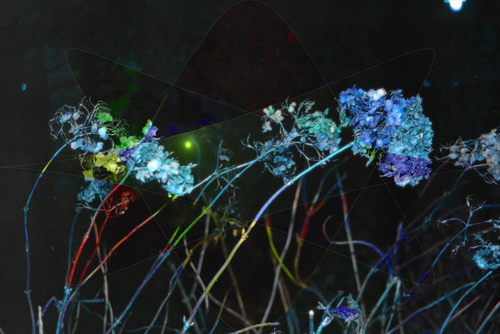 Scherm afbeelding 2024 04 19 om 13 25 24.png