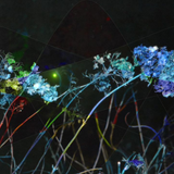 Scherm afbeelding 2024 04 19 om 13 25 24