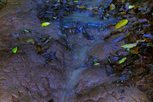 636952261 18564402109043375 5311292648989227992 n.jpg