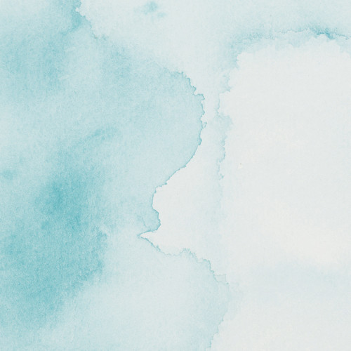 Spring Shake (4).jpg