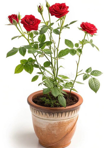 26303b80 12ee 4ba7 9133 4ab1e3a7417f.jpg