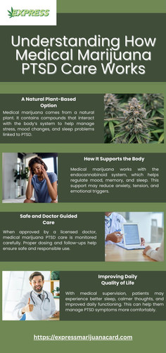Understanding How Medical Marijuana PTSD Care Works.jpg