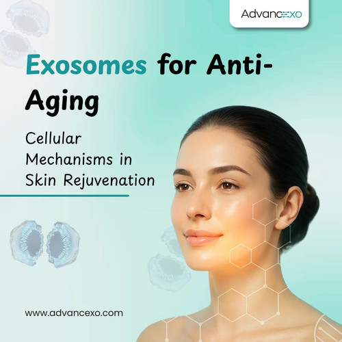 Exosomes for Anti Aging.jpg