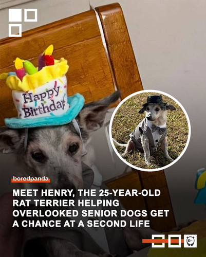 Community Share 2.jpg