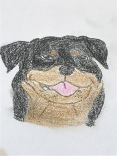 8496F24F 11F4 49D1 B041 F1D67EF71C39.jpg